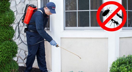 Keşan Böcek ve Haşere İlaçlama böcek ilaçlama ve haşere kontrolü — ilaclama-tr.com